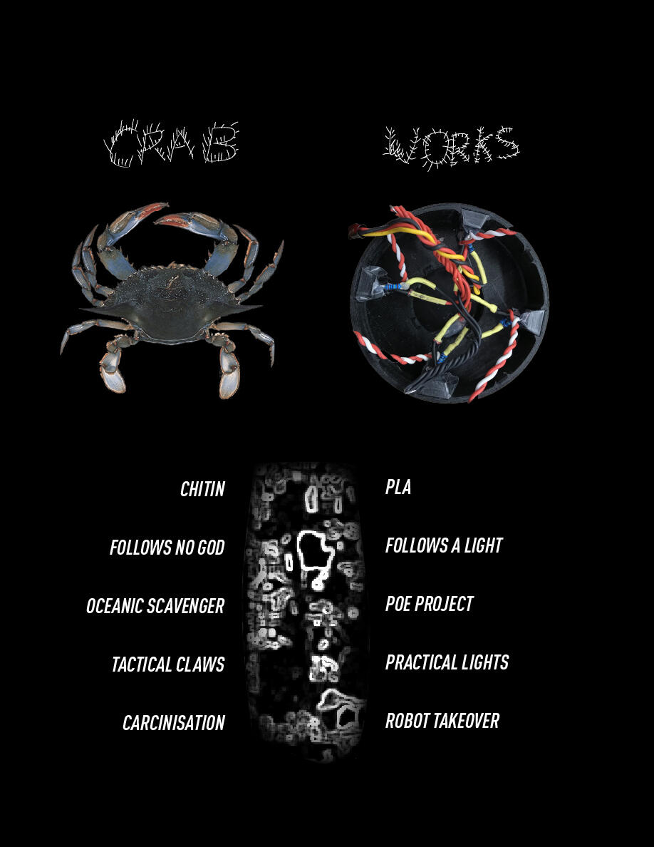 CRAB / WORKS
